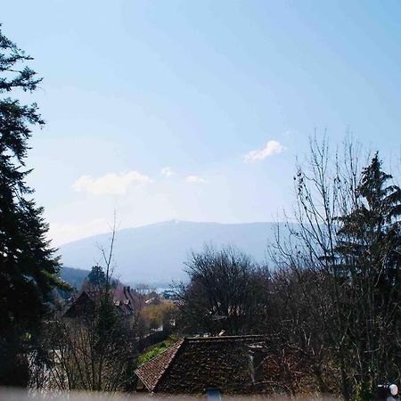 Maison 3 Chambres Au Lac D'Annecy, 30Min La Clusaz Ментон-Сен-Бернар Екстериор снимка