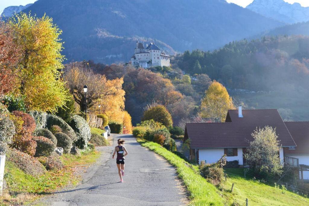 Maison 3 Chambres Au Lac D'Annecy, 30Min La Clusaz Ментон-Сен-Бернар Екстериор снимка